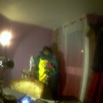 Développeur, soudeur, Plaquistes,, électronicien informatique, Mécanique, Sportive Capitan club Royals 94 IDF, Déménageur avec camion, et plus.